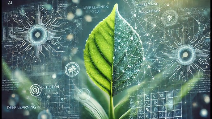 Plant Disease Classification